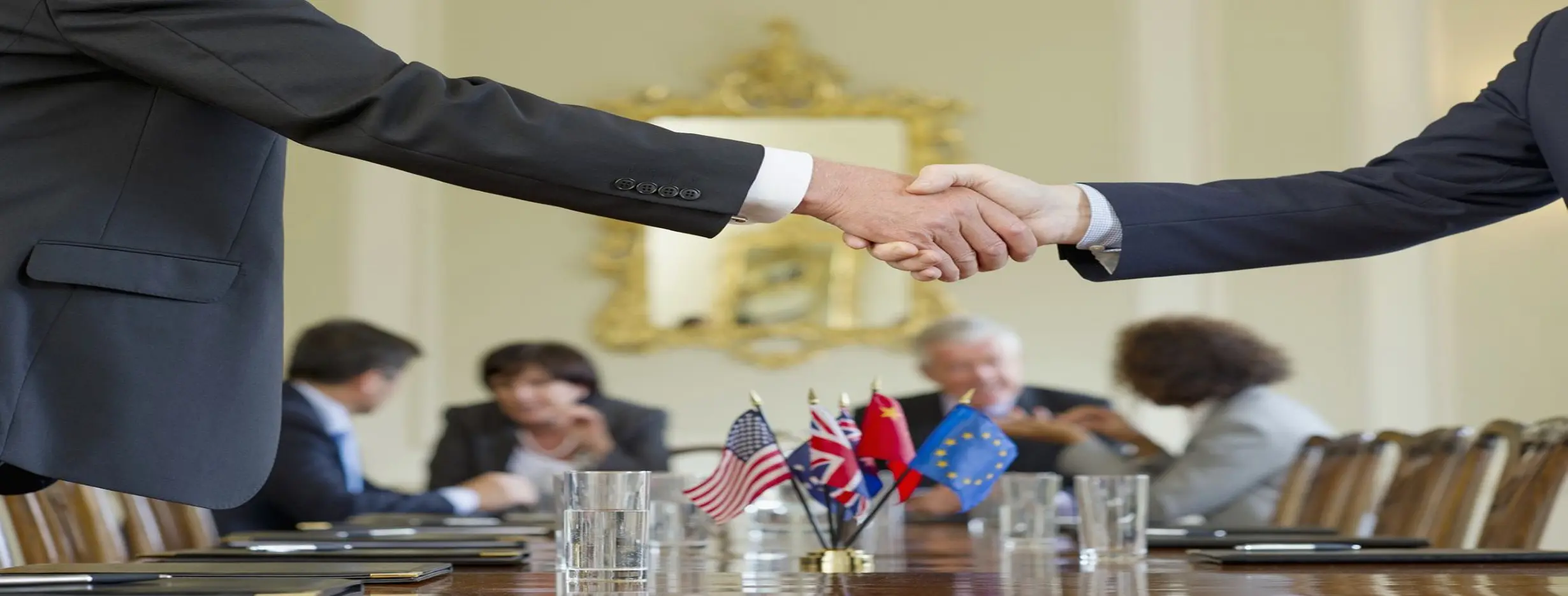 Image for Favorable Government Policies